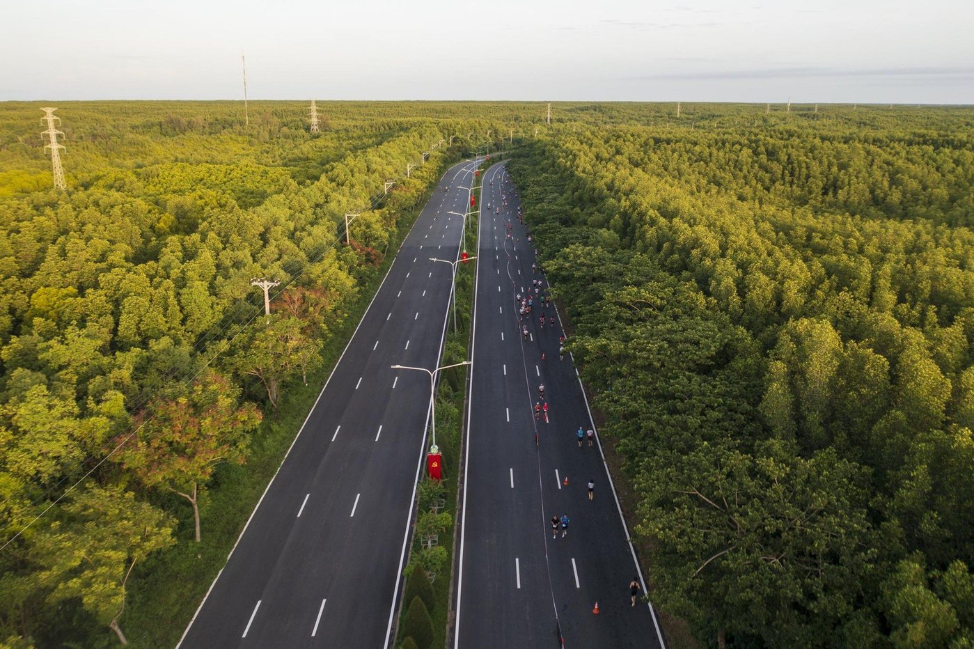 đường rừng sác.jpg